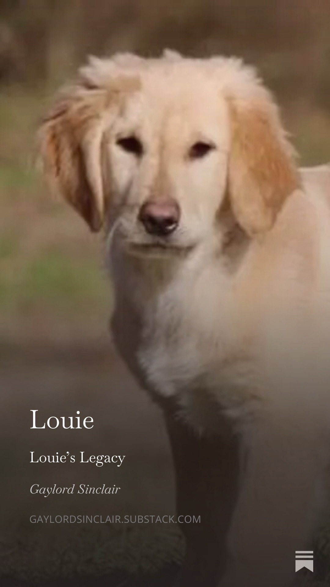 Louie memory